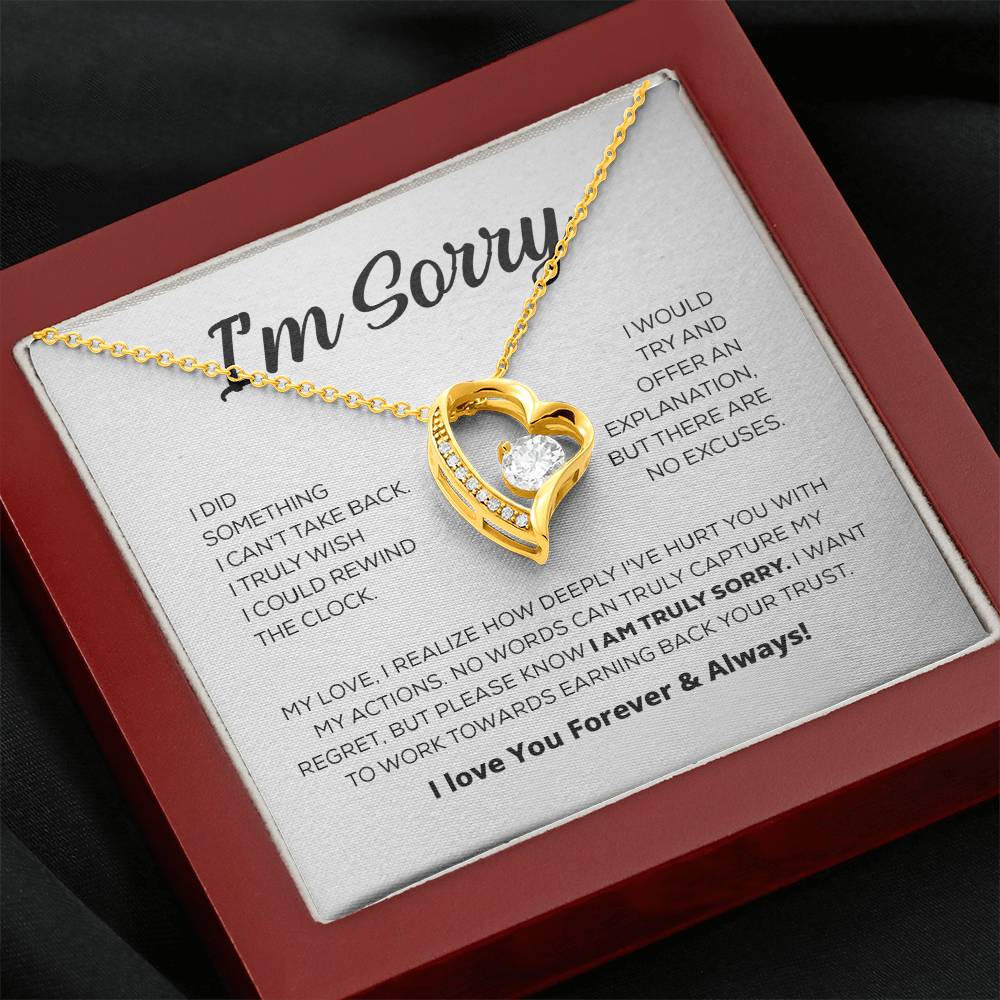 Apology Gift For Her - I'm Truly Sorry - Forever Love Necklace